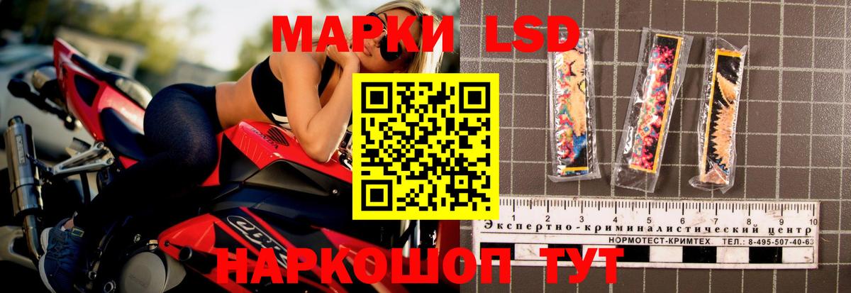 МЕФ Волгоград