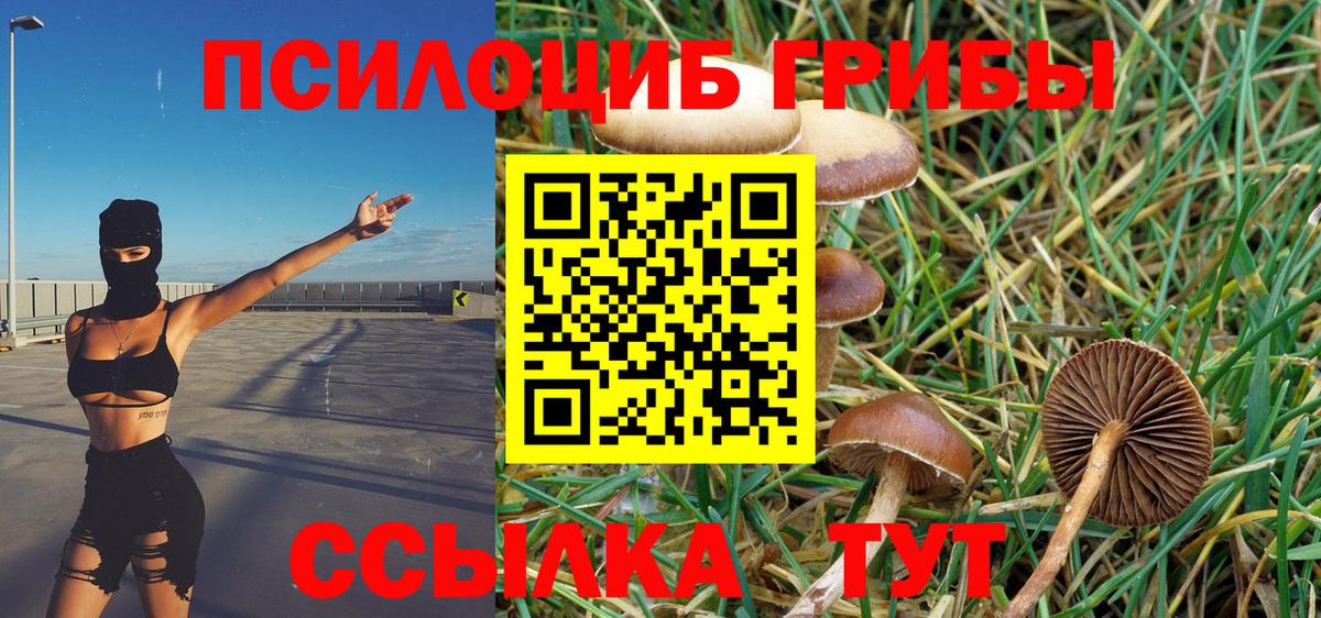 Волгоград  Галлюциногенные грибы GOLDEN TEACHER  где можно купить   Вход с VPN 