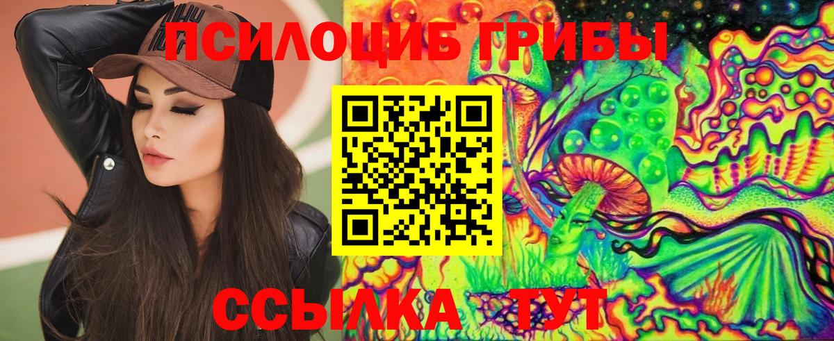 Псилоцибиновые грибы Psilocybine cubensis Волгоград